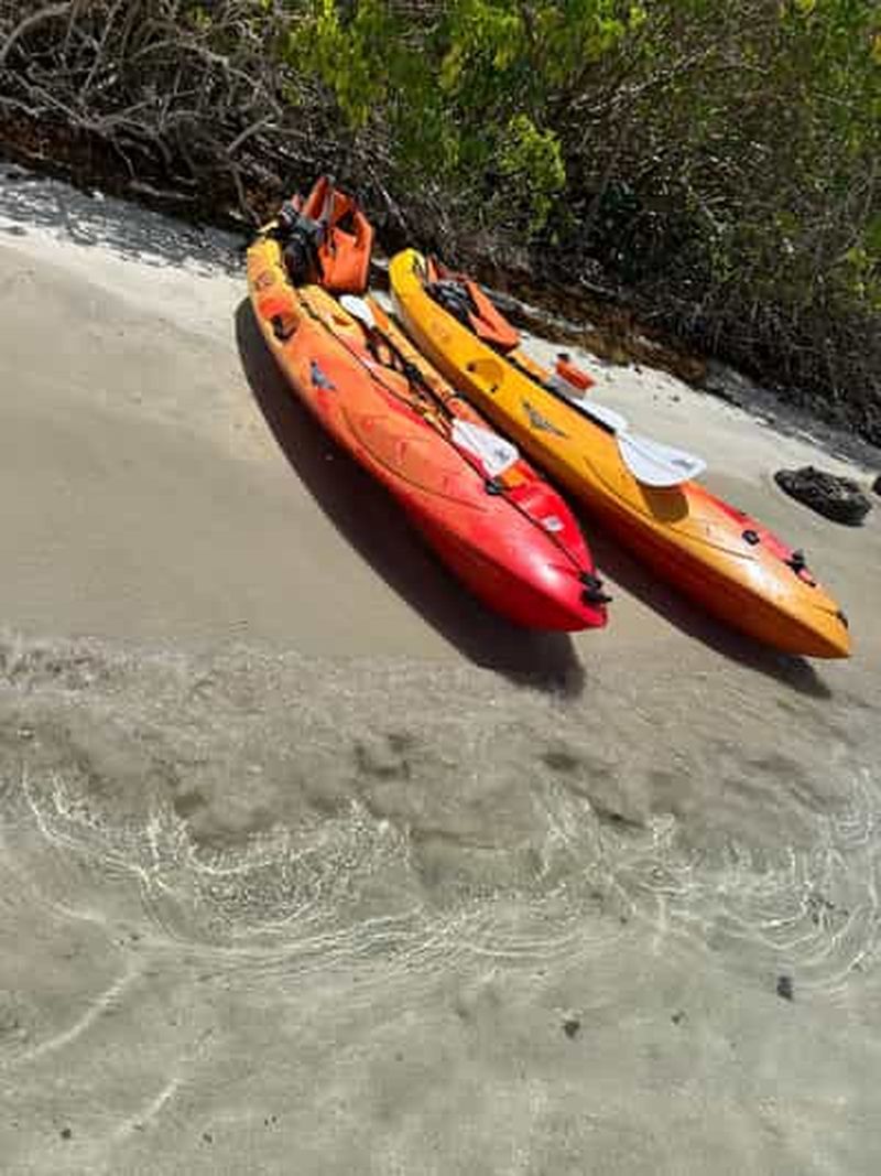 Billet Excursion autonome kayak au Robert : îlet Chancel, iguanes et fonds blancs