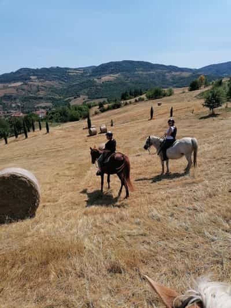 Billet Vergato : balade à cheval dans les collines émiliennes