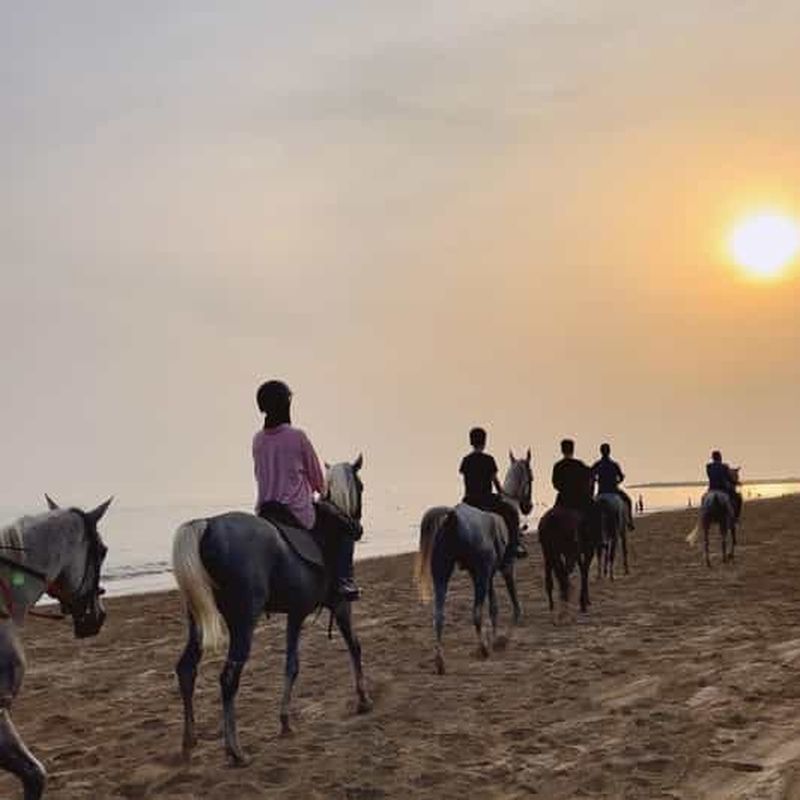 Billet Équitation sur la plage de Mascate