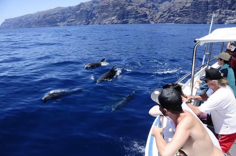 Billet Los Gigantes : Observation des baleines ou des dauphins et baignade à Masca