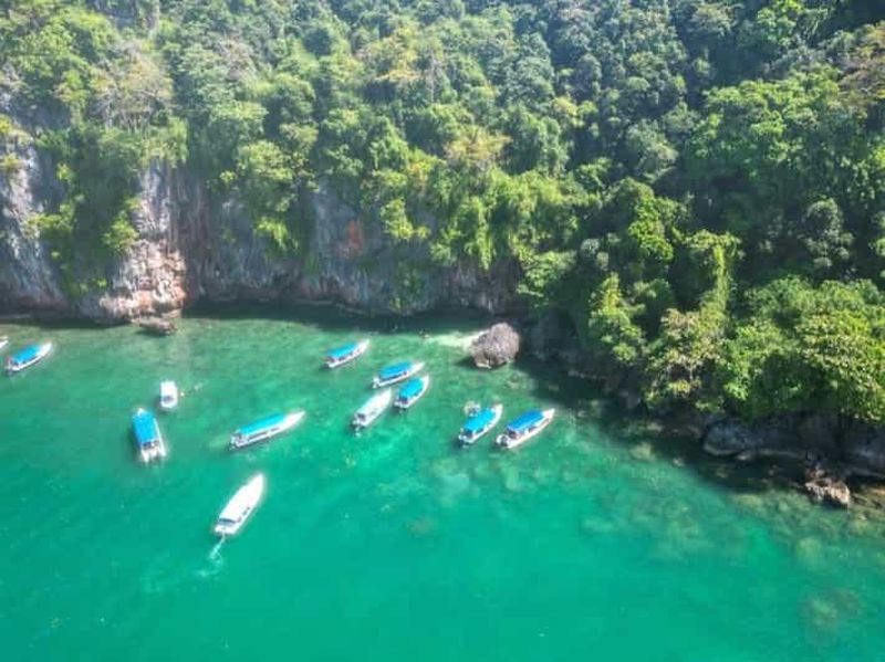 Billet Langkawi : sortie en bateau privée d'une demi-journée dans la mangrove de Kilim