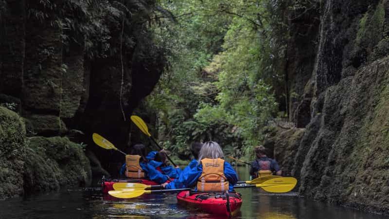 Billet Tauranga : excursion panoramique en kayak sur le lac McLaren en journée