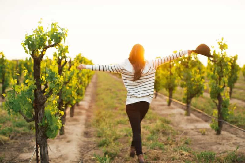 Billet Etna Quad & Wine Combo Visite privée