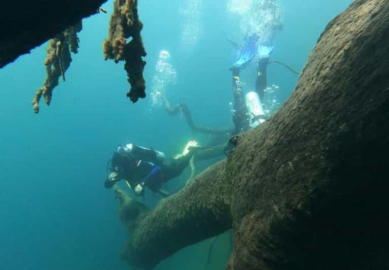 Billet Bariloche : Baptême de plongée au lac Moreno