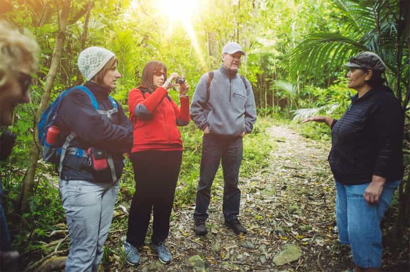 Billet Au départ de Wellington : Visite guidée classique de l'île de Kapiti