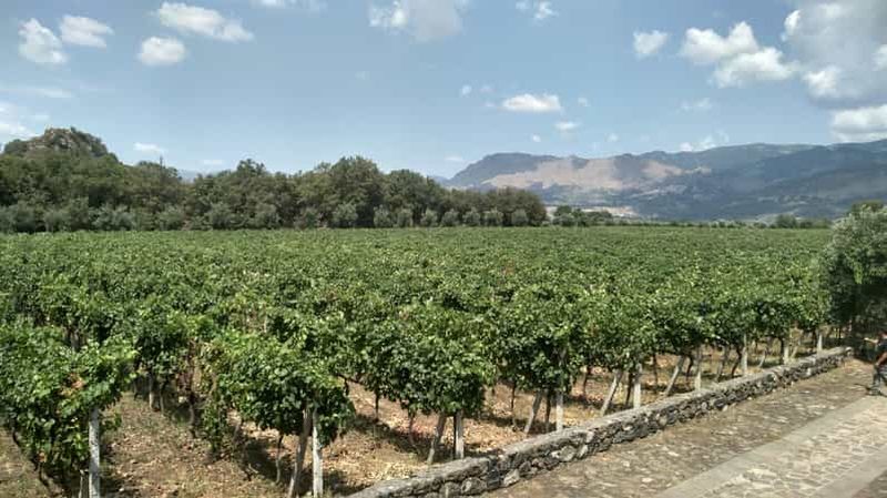 Billet Etna : Dégustation de vin et visite culinaire
