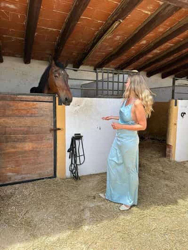 Billet Oman-Salalah : balade à cheval au coucher du soleil sur la plage avec prise en charge à l'hôtel