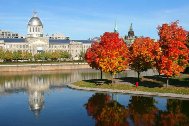 Billet Visite privée à pied du Vieux-Montréal avec billets de croisière