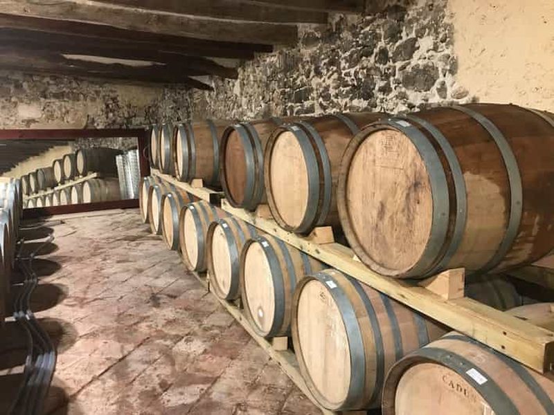 Billet Dégustation de vins dans les vignobles avec prise en charge à l'hôtel.