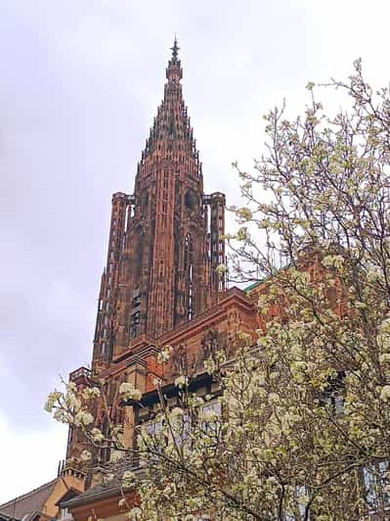 Billet Visites Guidées de la Cathédrale de Strasbourg