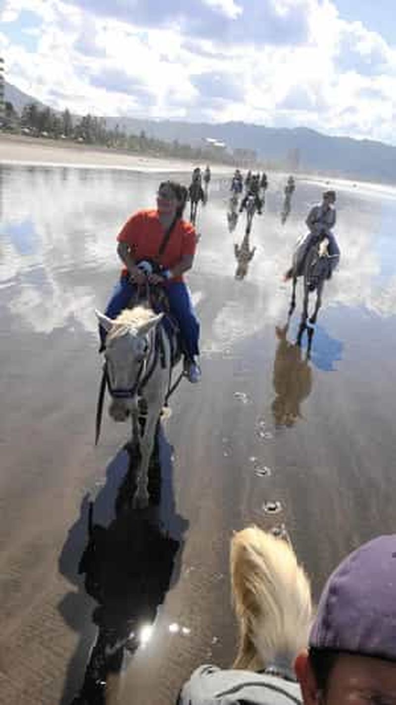 Billet Excursions à cheval à Jaco