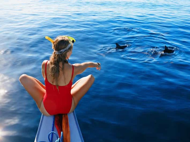 Billet Bali : observation des dauphins, cascade d'Aling Aling, tout compris