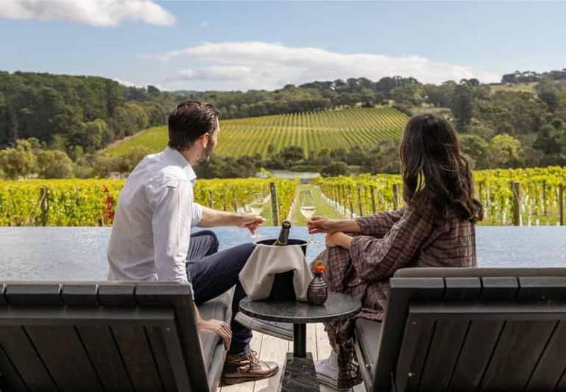 Billet Visite privée des vignobles de Kelowna avec 5 dégustations