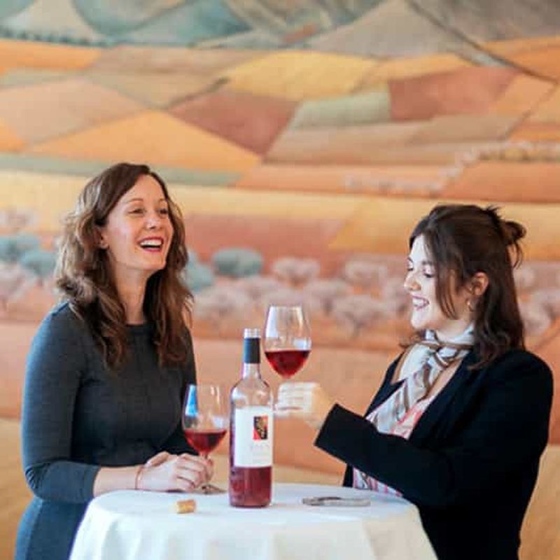 Billet Salas Bajas : visite du domaine viticole Enate avec dégustation de vin et salle d'art