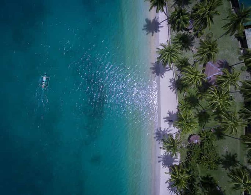 Billet Port Barton : Circuit dans les îles vers Turtle Spot & Reef avec déjeuner