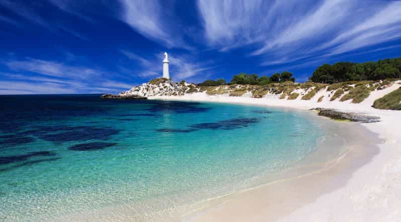 Billet Île Rottnest : Visite en bus et en train avec déjeuner