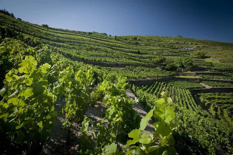 Billet Visite privée de luxe dans le Douro (vins et gastronomie)