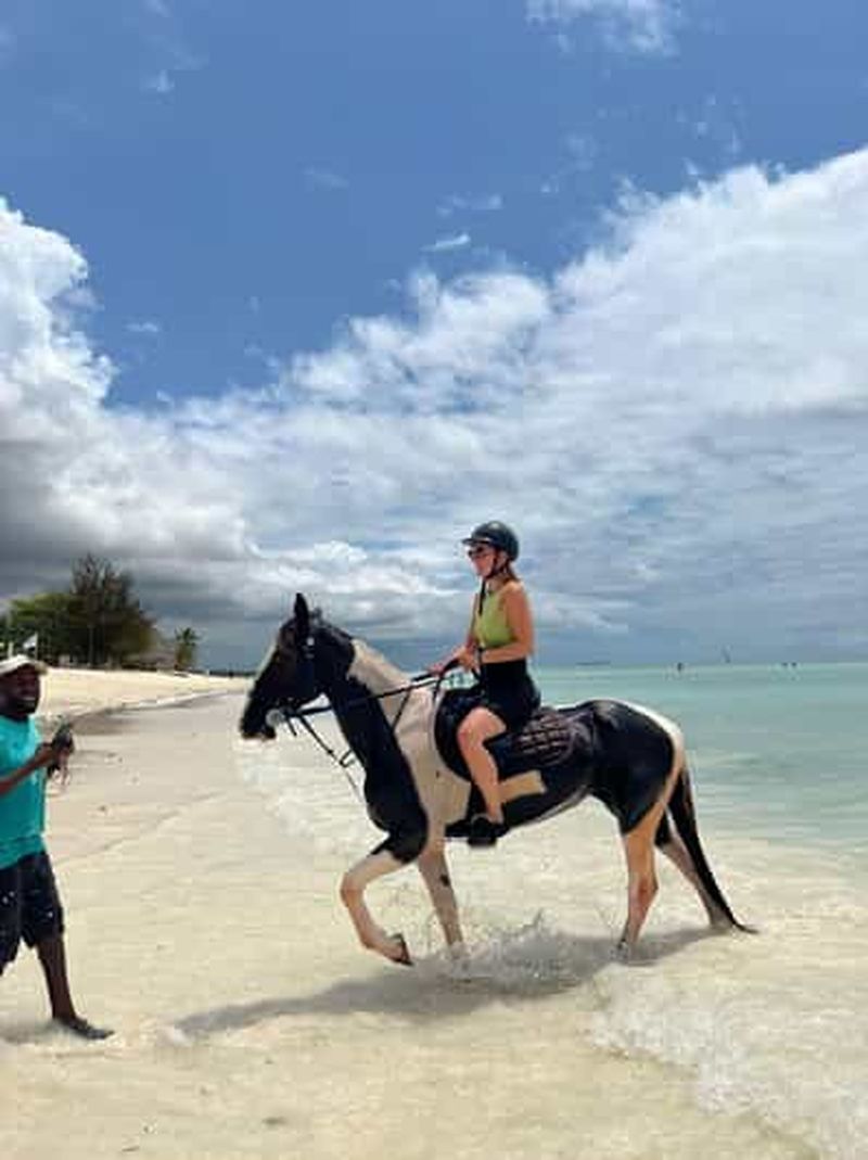 Billet Zanzibar : balade à cheval sur la plage et baignade avec les chevaux