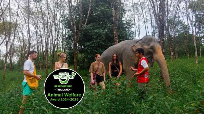 Billet Phuket : visite d'un sanctuaire d'éléphants, cours de cuisine et déjeuner