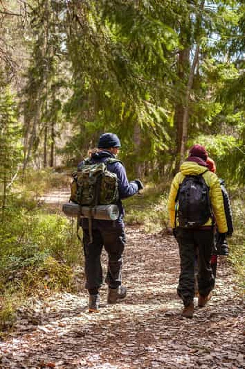 Billet Helsinki : Randonnée guidée dans la nature d'Uutela avec collation