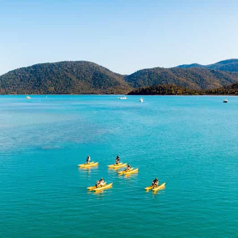 Billet Whitsundays : Eco-Tour en vélo aquatique avec guide