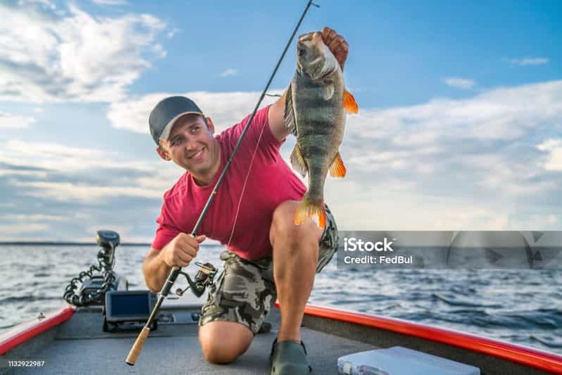 Billet Excursion de pêche sur la côte de Sorrente
