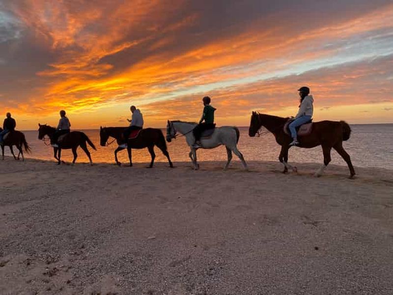 Billet Orosei : Visite guidée à cheval sur la plage en admirant le lever du soleil et la mer