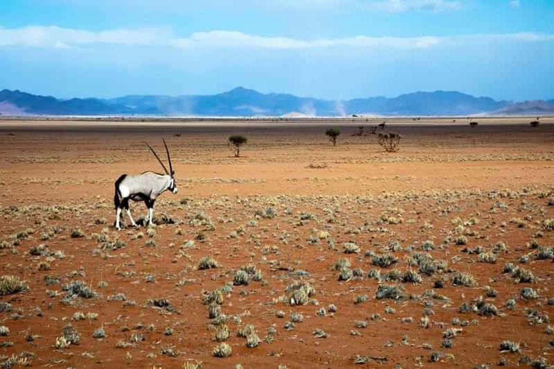 Billet Parc Namib-Naukluft : Transport et visite du parc Naukluft