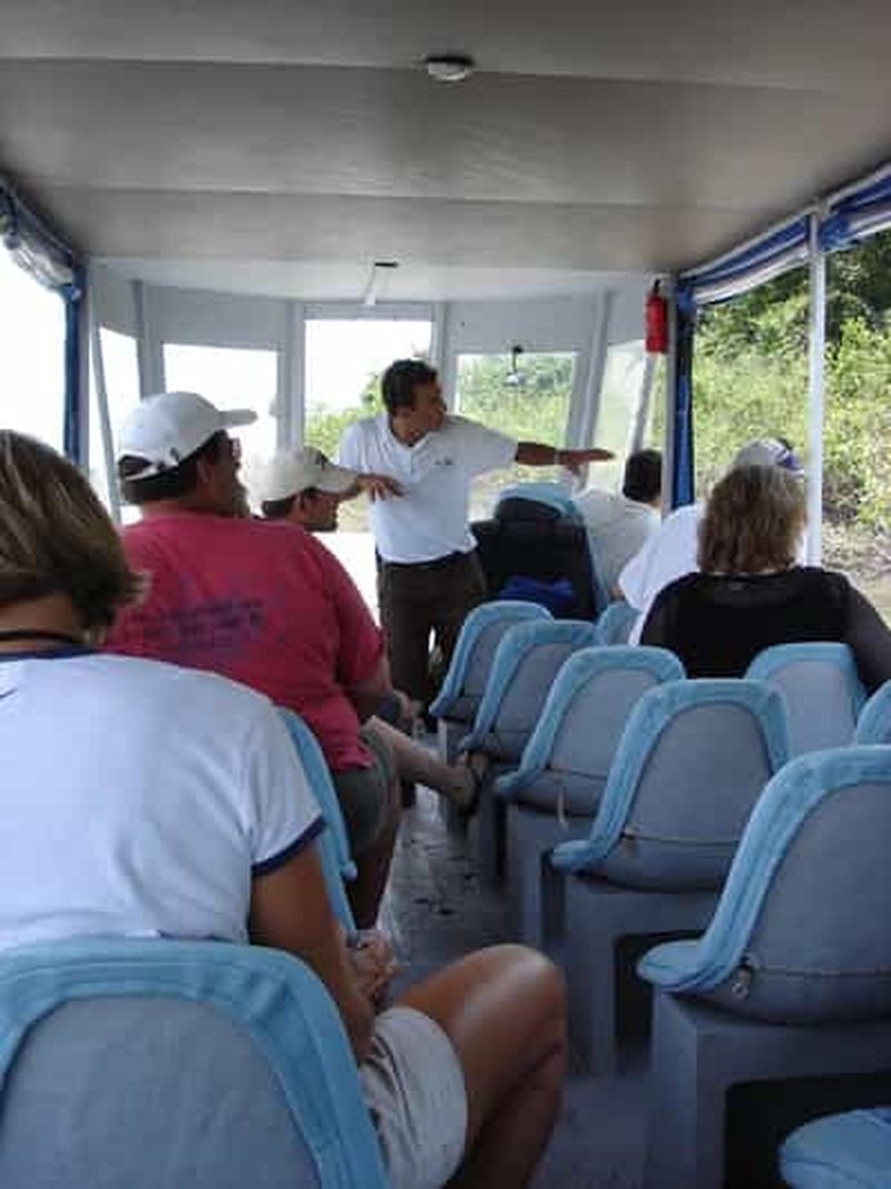 Billet Guanacaste : Croisière dans la jungle du parc national de Palo Verde