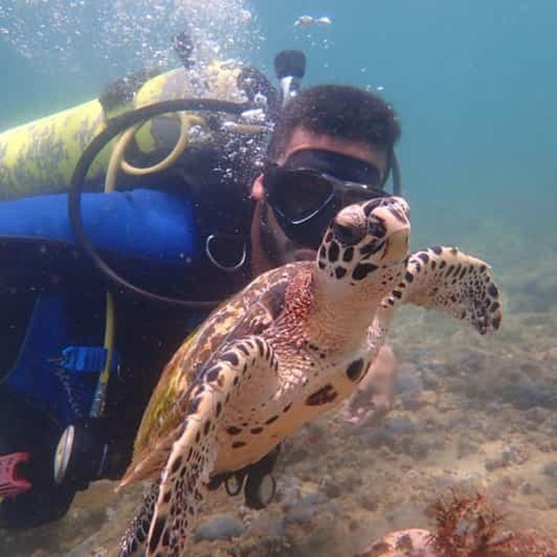 Billet Plongée dans les coraux sur la plage de Porto da Barra à Salvador-Bahia