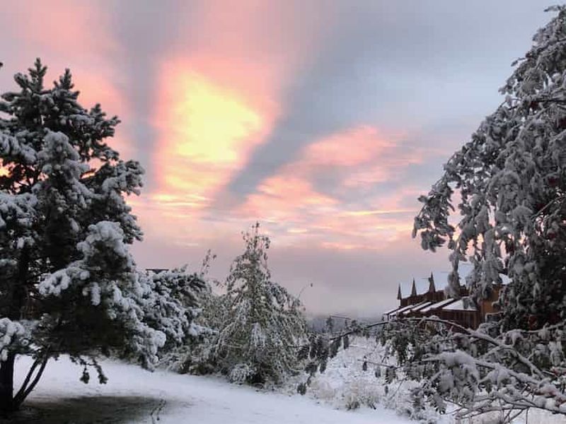 Billet Septembre 2025 Tournée d'observation des oiseaux des Rocheuses en Colombie-Britannique