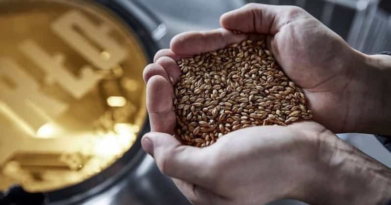 Billet Berlin : Visite de la BRLO BRWHOUSE et dégustation de bières artisanales