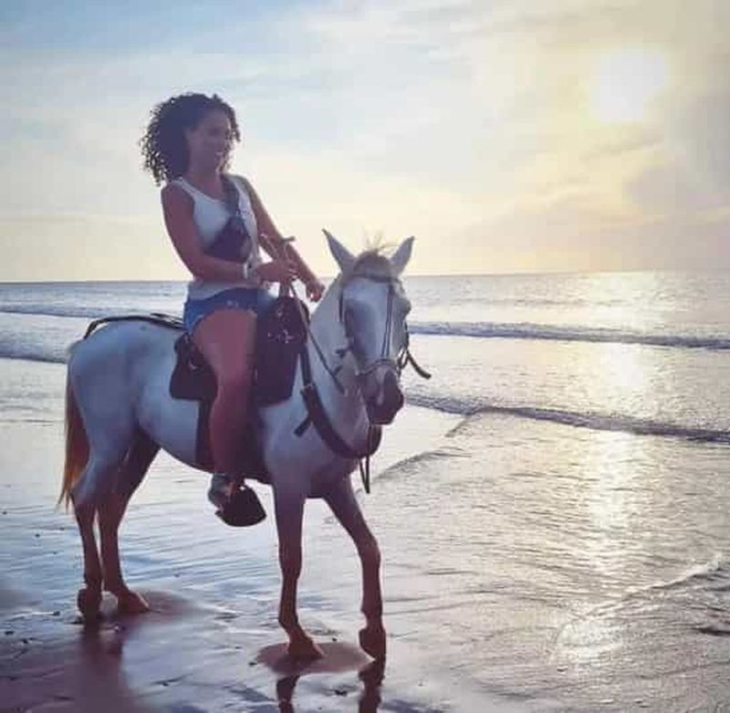 Billet Cartagena : Excursion à cheval sur la plage