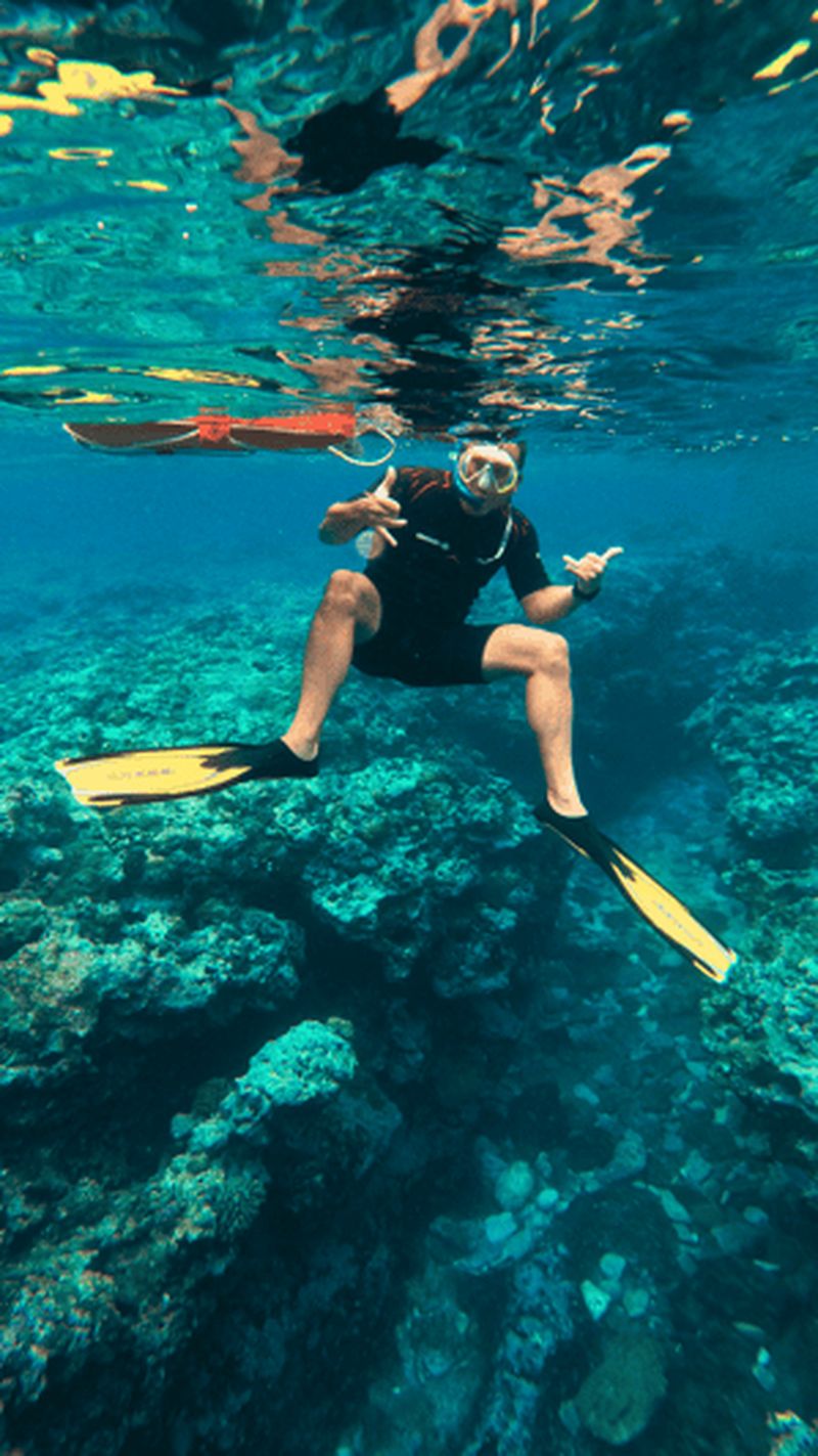 Billet Sortie Snorkeling en palmes, masque, tuba sur la barrière de corail !