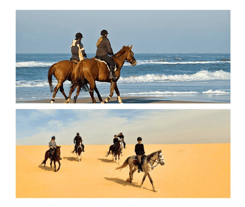 Billet Doha : expérience d'équitation arabe – options mer ou désert