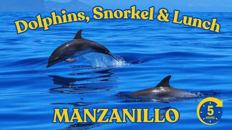 Billet Plongez au paradis : Les dauphins de Manzanillo, plongée en apnée et déjeuner
