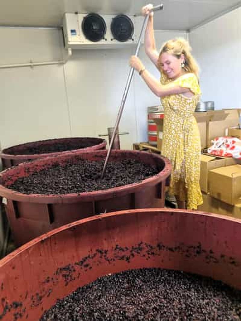 Billet Au départ de Sydney : visite de la Hunter Valley avec dégustations de vins, de gin et de produits locaux