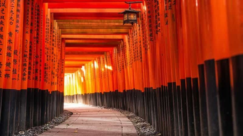 Billet Uji et Fushimi : visite en bus des sanctuaires, du thé et du saké
