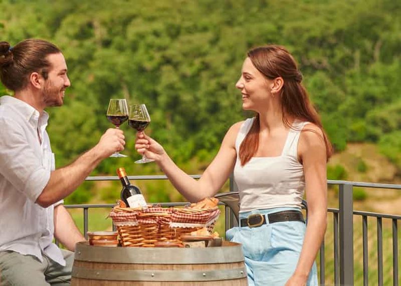 Billet Saint-Emilion : Visite guidée d'un grand cru classé et pique-nique