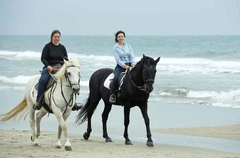 Billet Le Cap : promenade à cheval privée sur la plage avec vue sur l'océan