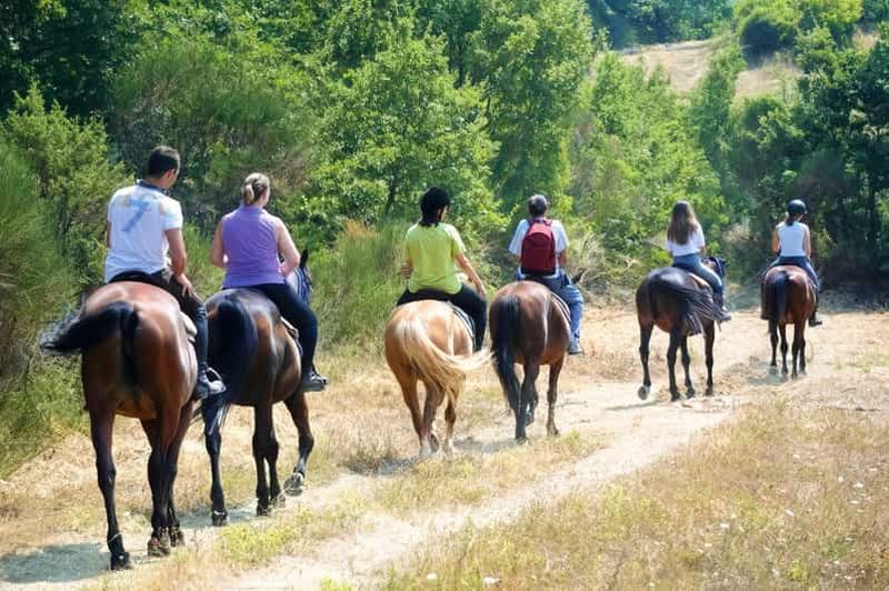 Billet Sienne : promenade à cheval dans les collines du Chianti