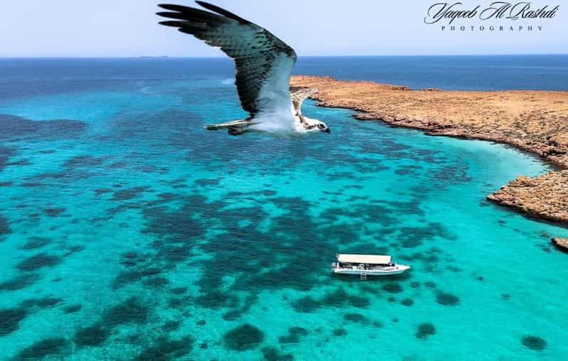 Billet Depuis Al-Seeb : Excursion en bateau dans les îles Dimaniyat avec plongée en apnée