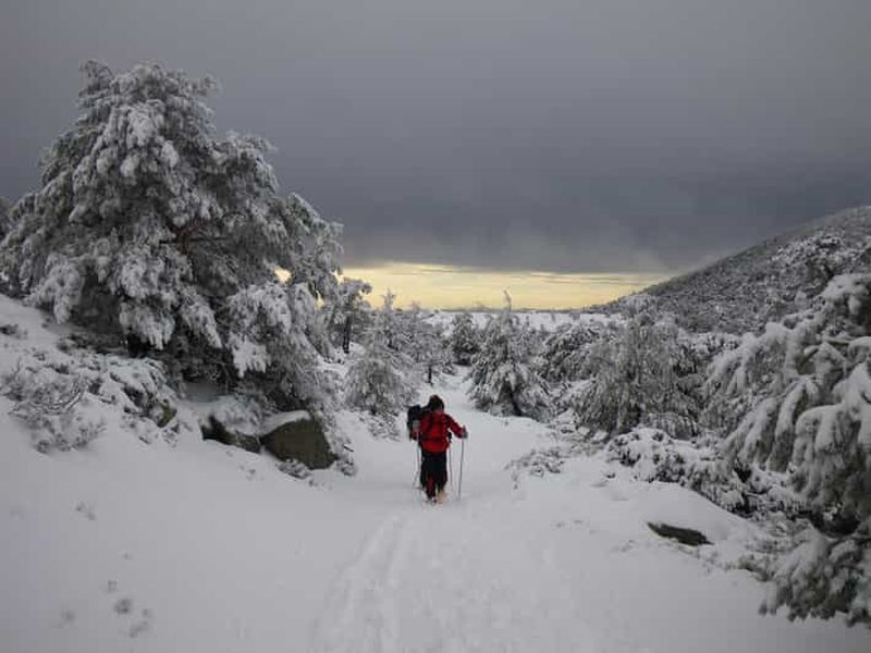 Billet Madrid : Raquettes à neige
