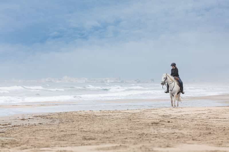 Billet Le Cap : promenade à cheval sur la plage avec épave et vue sur l'océan