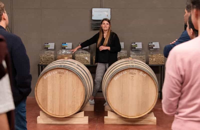 Billet Visite d'un vignoble sur les collines de Parma et dégustation de vin avec plateau de nourriture
