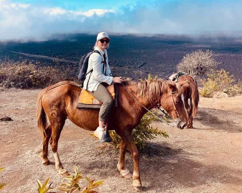 Billet Promenade à cheval aux Galápagos : les crêtes du volcan Sierra Negra