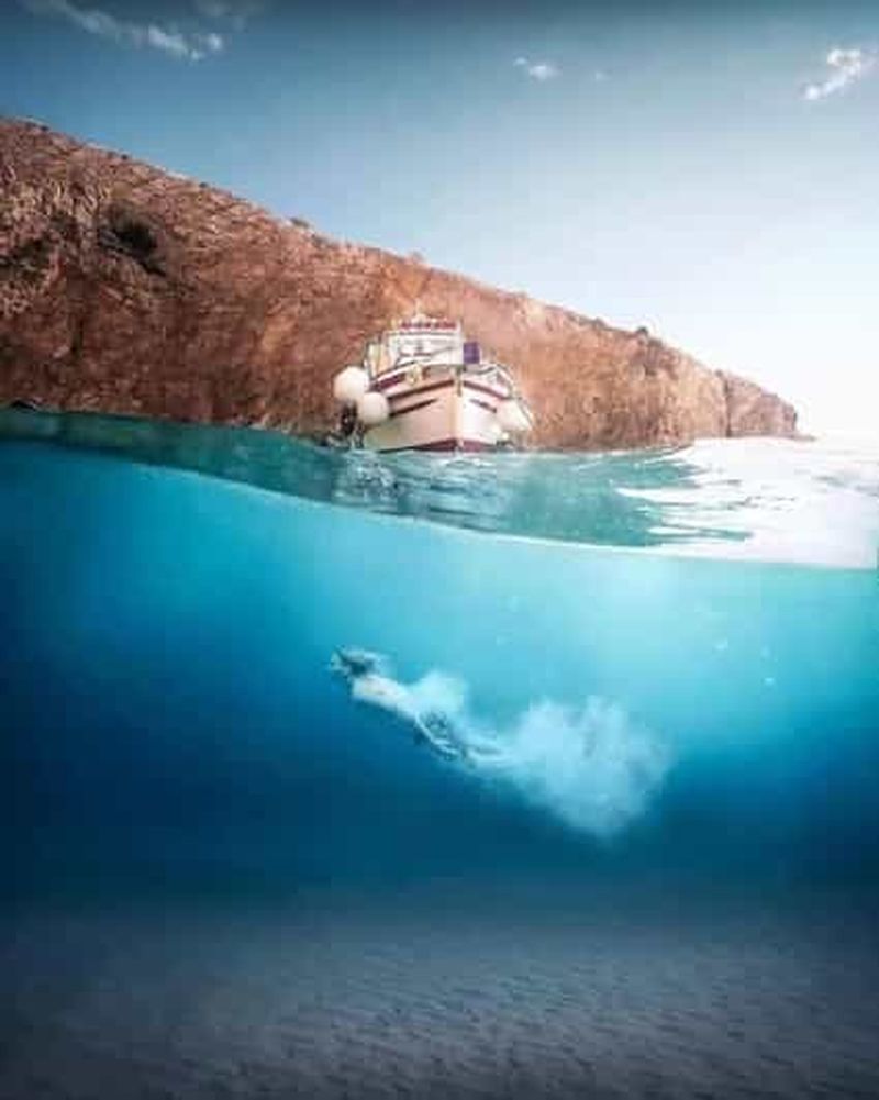 Billet 3,5h Wild Bays : Nage et plongée avec le Capitaine Bobo (Public)