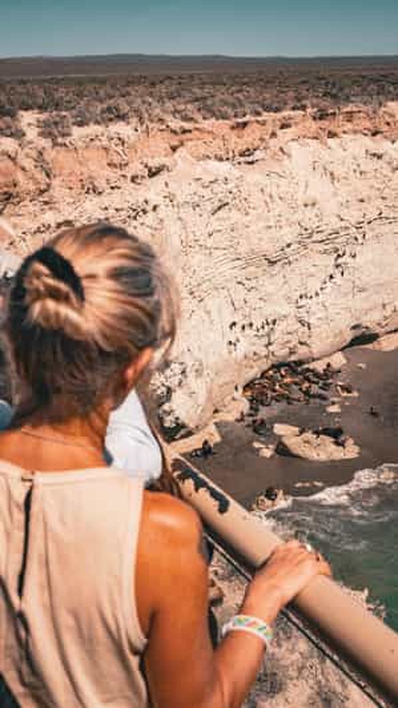 Billet Excursion à Puerto Madryn Punta Loma avec dégustation de bières artisanales