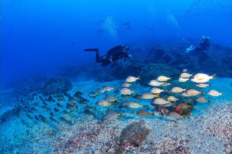 Billet Radazul : voyage de plongée dans la baie de Radazul avec boissons