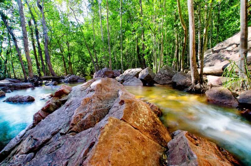 Billet Darwin : escapade privée au parc subtropical de Litchfield